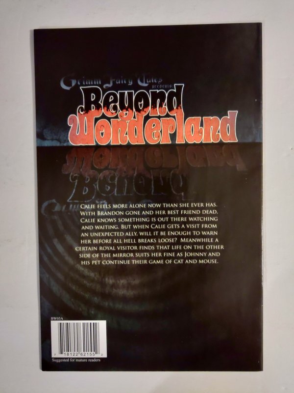 Beyond Wonderland #3 (2008)