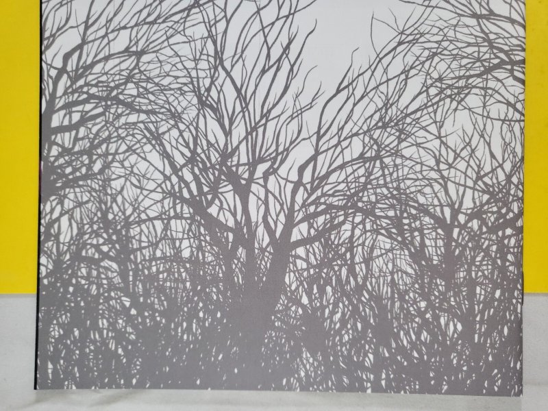 The Woods #1 1st Print 2014 Boom! Studios Optioned