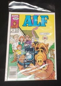 ALF 2PC (VF/NM) BAGGED & BOARDED, 2 COPIES OF ISSUE #2, NEWSSTAND & DIRECT 1988