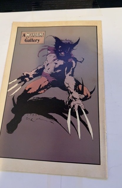 Wolverine #10 (1989) sabretooth is his name