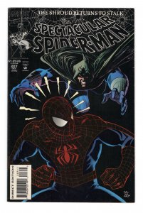 Spectacular Spider-Man #207 (1976 v1) Sal Buscema Shroud Black Cat VF+