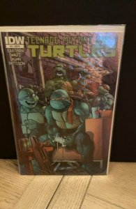 Teenage Mutant Ninja Turtles #13 Cover C (2012)