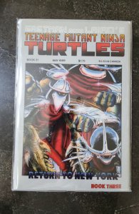 Teenage Mutant Ninja Turtles #20 (1989)