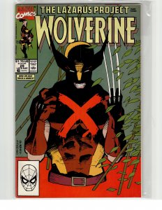 Wolverine #29 (1990) Wolverine