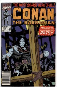 Conan the Barbarian #236 (1990) Conan