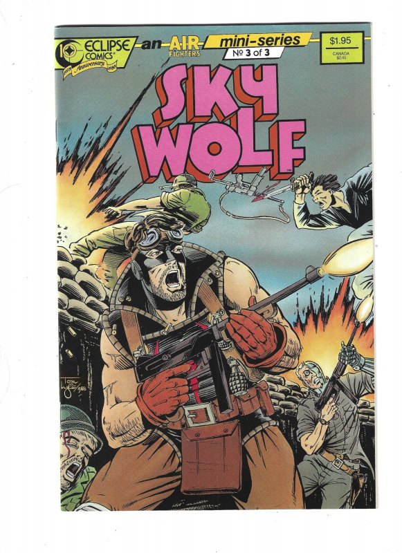 Sky Wolf #1 through 3 (1988) Complete