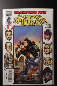 The Amazing Spider-Girl #24 (2008)