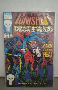 The Punisher Summer Special #1 (1991).  P25