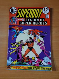 Superboy #197 ~ VERY FINE VF ~ 1973 DC Comics