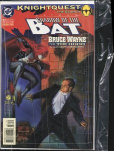 Batman: Shadow of the Bat #21 (1993) Bruce Wayne