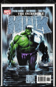 Incredible Hulk #77 (2005) Hulk