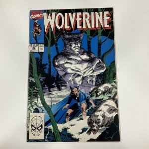 WOLVERINE 25 NM NEAR MINT MARVEL