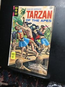 Edgar Rice Burroughs' Tarzan #190 (1970) The forbidden city! Mid-grade k...