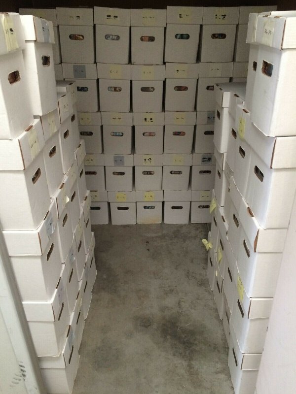 1,000 COMIC BOOKS LOT - NO DUPLICATION -WHOLESALE-MARVEL/DC/IND BULK