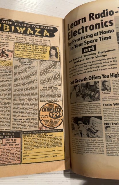 The Amazing Spider-Man #21 (1965)Human torch vs the beetle