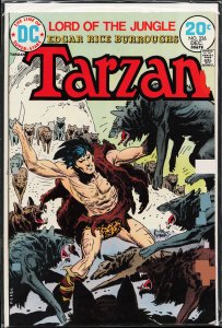Edgar Rice Burroughs' Tarzan #226 (1973)
