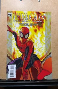 Spider-Man: With Great Power... #3 (2008)