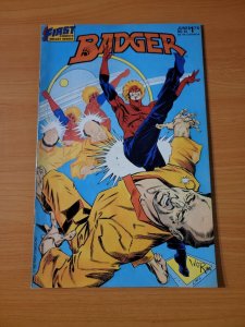 The Badger #24 ~ VERY FINE - NEAR MINT NM ~ 1987 First Comics