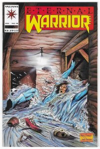 Eternal Warrior #18 (1994)