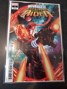 Revenge of the Cosmic Ghost Rider #1 (2019) Adam Gorham 1:25 Variant (Marvel)