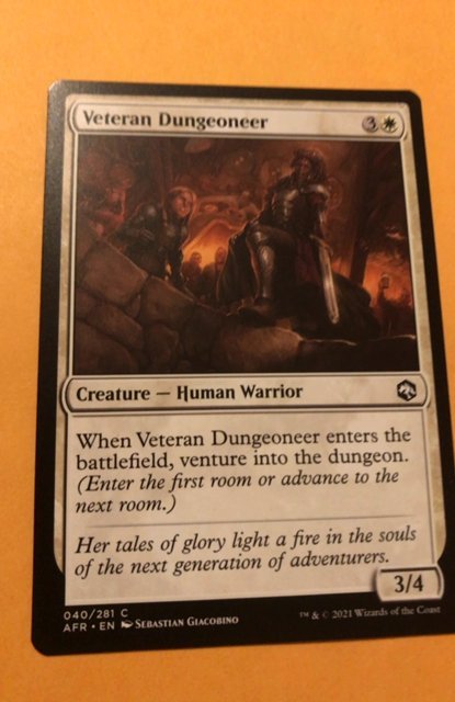 VETERAN DUNGEONEER :  Magic the Gathering card / Adventures in Forgotten Realms