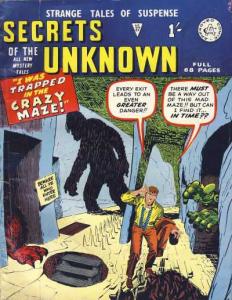 I Was Trapped in the Crazy Maze!