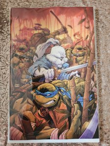 Teenage Mutant Ninja Turtles/Usagi Yojimbo: WhereWhen #1 VIRGIN VARIANT