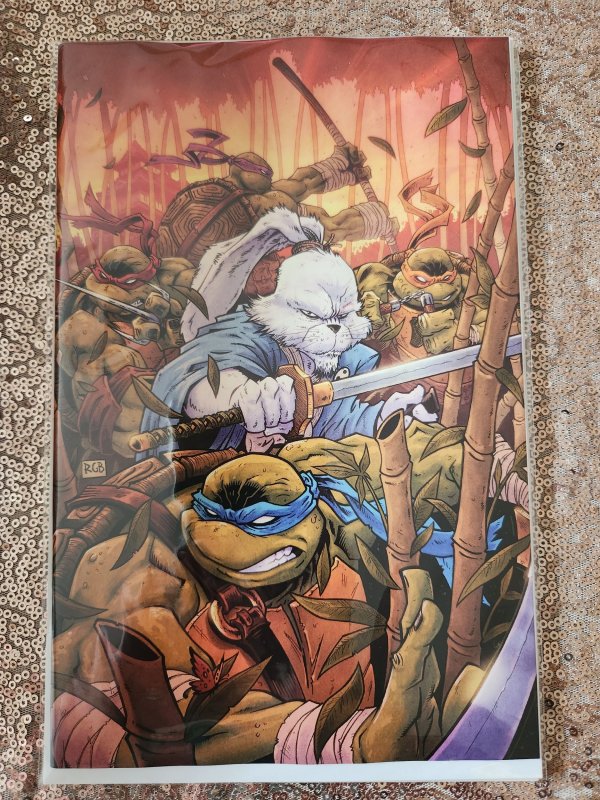 Teenage Mutant Ninja Turtles/Usagi Yojimbo: WhereWhen #1 VIRGIN VARIANT