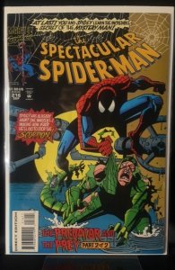 The Spectacular Spider-Man #216 (1994)