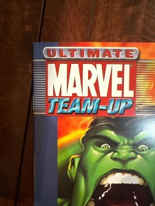 Ultimate Marvel Team-Up #2 (2001)
