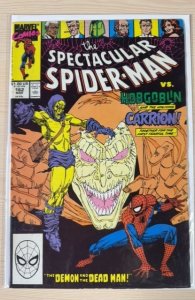 The Spectacular Spider-Man #162 (1990)