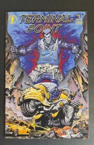 Terminal Point #1 (1993)