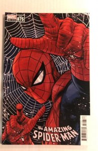 The Amazing Spider-Man #74 Checchetto Cover (2021)