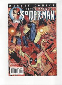 13 Spider-Man Comics Hi Grade Peter Parker Amazing