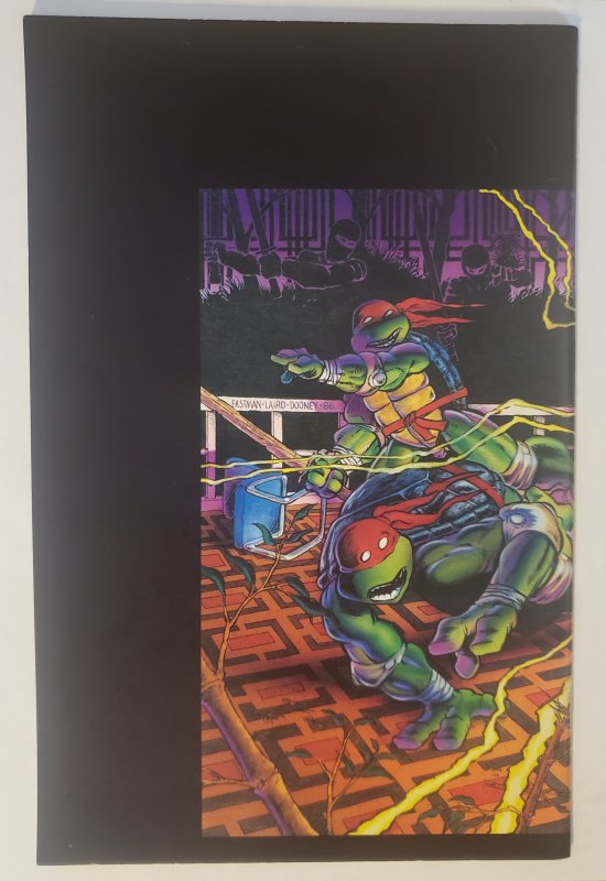 Teenage Mutant Ninja Turtles 9