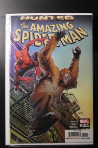The Amazing Spider-Man #18.HU (2019)