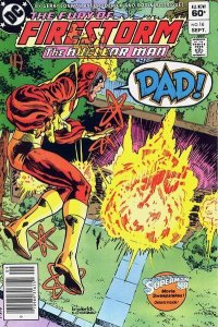 Fury of Firestorm, The #16 (Newsstand) FN ; DC | Gerry Conway