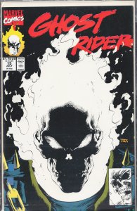 Ghost Rider #15 (1991) Ghost Rider