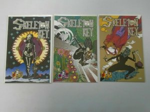 Skeleton Key (1st Series) lot: #1-3 8.0 VF (1995)