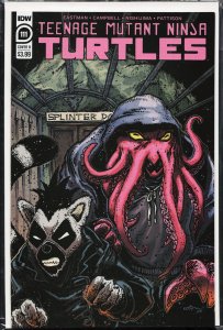 Teenage Mutant Ninja Turtles #111 Cover B (2020)