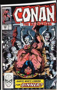 Conan the Barbarian #228 (1990) Conan