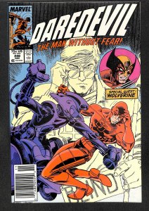 Daredevil #248 (1987)