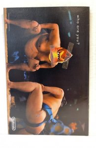 The Punisher #34 (2003)