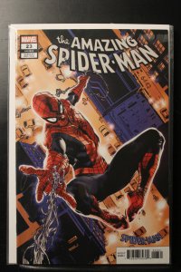 The Amazing Spider-Man #23 Variant Cover (2019)