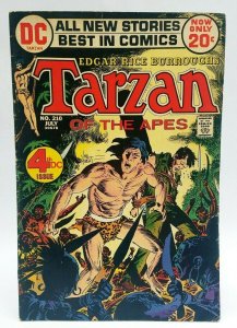 Tarzan #210 (1972) DC Comics Edgar Rice Burroughs