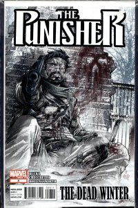 The Punisher #8 (2012) Punisher