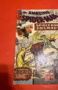 The Amazing Spider-Man #24 (1965) spidey goes crazy