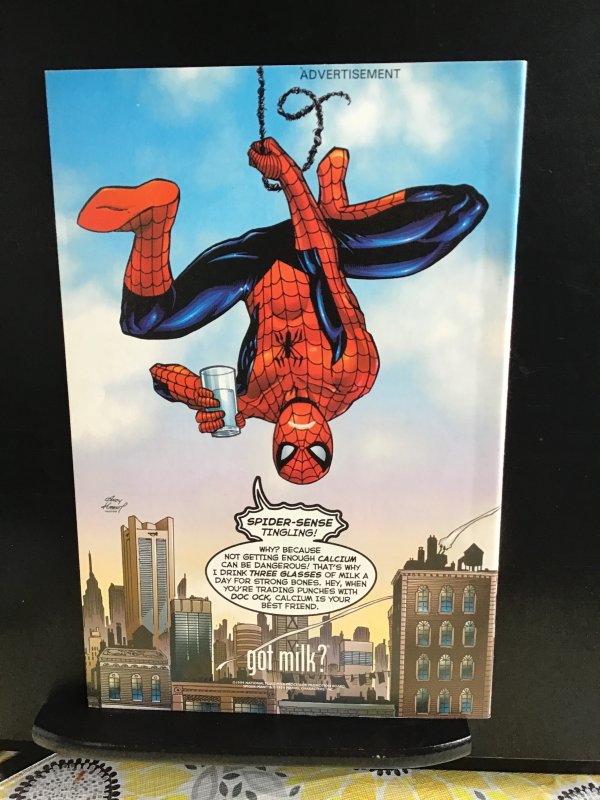 Peter Parker: Spider-Man #14 (2000)nm