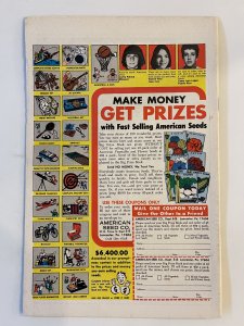 Power Man #31  - Fn (1976)