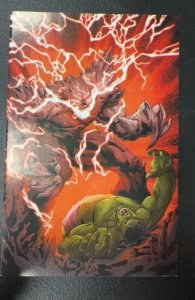 Hulk 6
